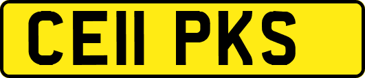 CE11PKS