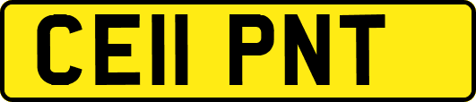CE11PNT