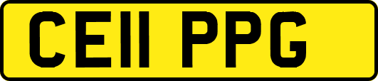 CE11PPG
