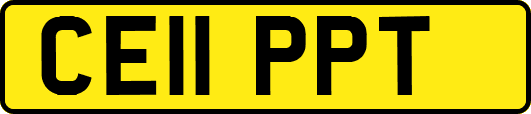 CE11PPT