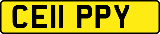 CE11PPY