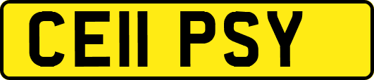 CE11PSY