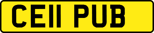 CE11PUB
