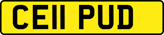 CE11PUD