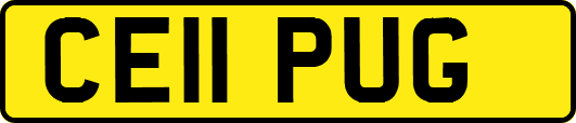 CE11PUG
