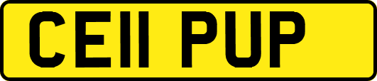 CE11PUP