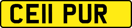 CE11PUR