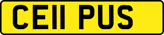 CE11PUS