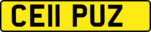 CE11PUZ