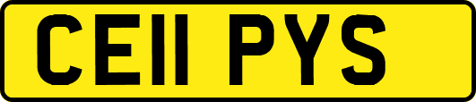 CE11PYS