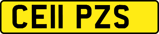 CE11PZS