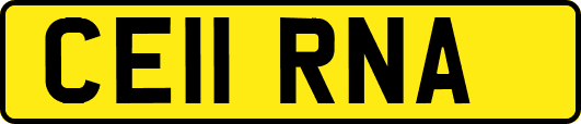 CE11RNA