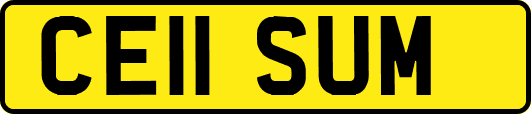 CE11SUM