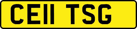 CE11TSG