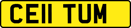 CE11TUM