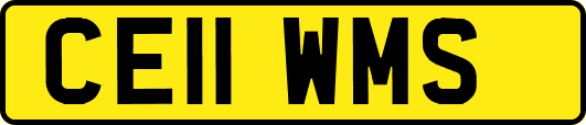 CE11WMS