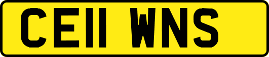 CE11WNS