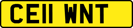 CE11WNT