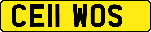 CE11WOS
