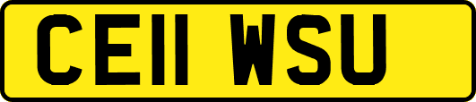 CE11WSU