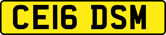 CE16DSM