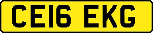 CE16EKG