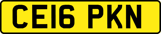 CE16PKN