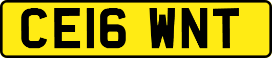 CE16WNT