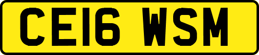 CE16WSM