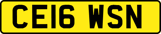 CE16WSN