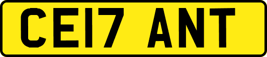 CE17ANT