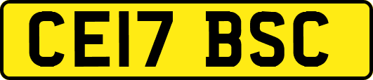 CE17BSC