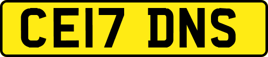 CE17DNS