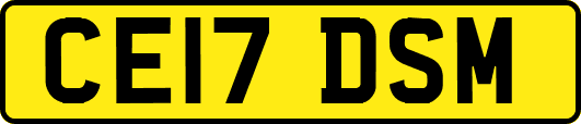 CE17DSM
