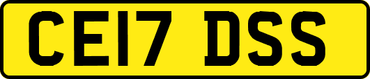 CE17DSS