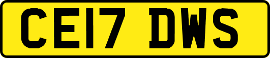 CE17DWS