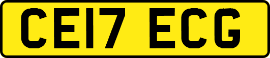 CE17ECG