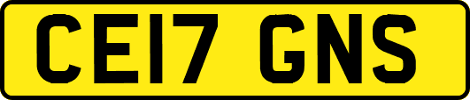 CE17GNS