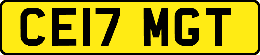 CE17MGT