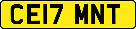 CE17MNT