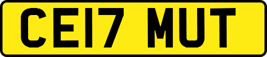 CE17MUT