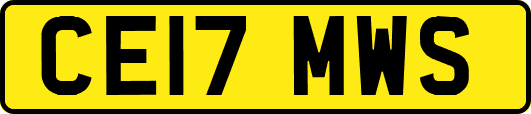 CE17MWS