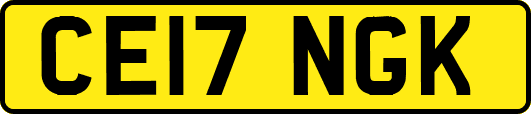 CE17NGK