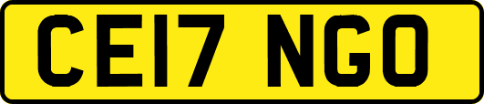 CE17NGO