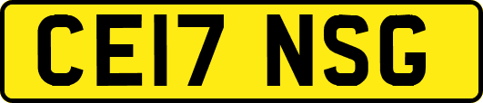 CE17NSG