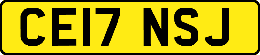 CE17NSJ