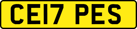 CE17PES