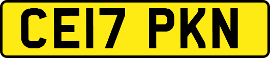 CE17PKN
