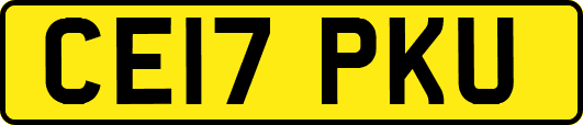 CE17PKU