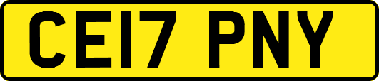 CE17PNY